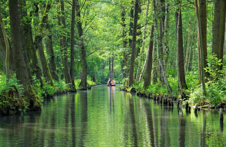 Spreewald Hochwald - Spree Forest  water canal, landscape in  Brandenburg