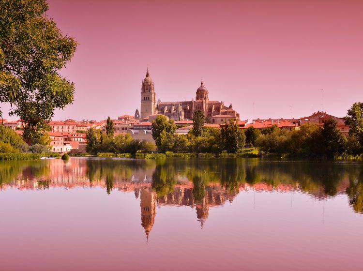 Idyllic view on Salamanca cathedral on pink background in Spain